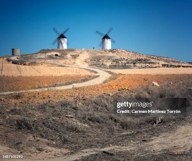 the giants of don quixote, windmills in castilla la mancha, spain. - テンブレケ ストックフォトと画像