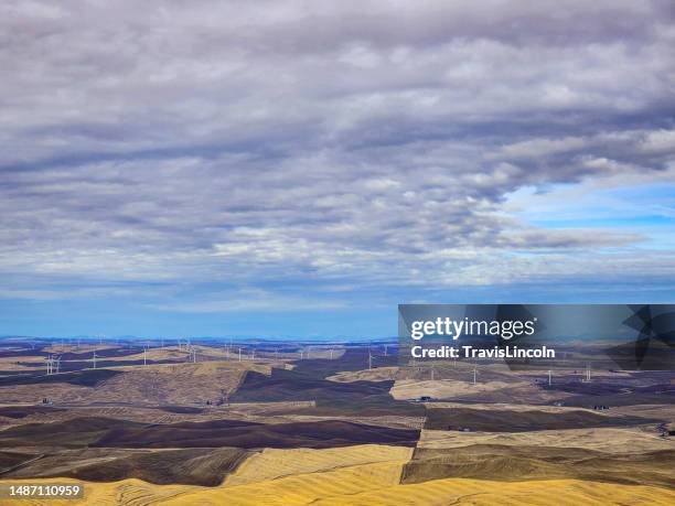 patchwork fields - view from steptoe butte - palouse stock pictures, royalty-free photos & images