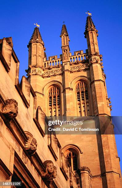 tower of magdalen college, oxford university. - oxford universität stock-fotos und bilder