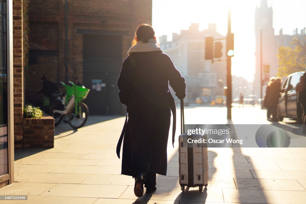 Rear view of business woman carrying luggage in the city