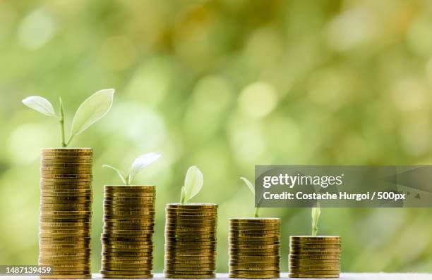 business finance and money concept,save money for prepare in the futuretree growing on coin of stacking gold coins with green bokeh background - save money stock-fotos und bilder