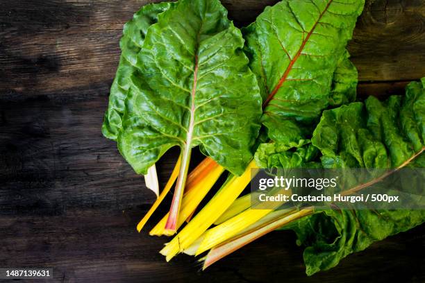 multicolored chard leaves from the organic garden - blette photos et images de collection