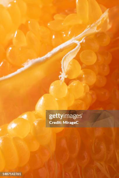 fresh juicy tangerine pulp close-up view - fruit flesh stock pictures, royalty-free photos & images