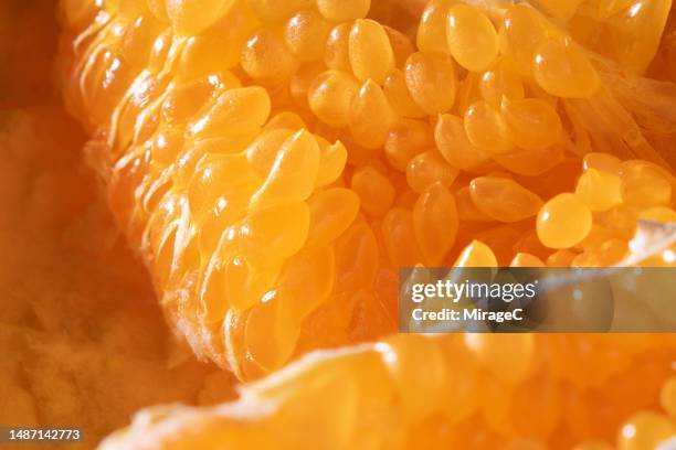 juicy tangerine pulp close-up view - vitamin c stock-fotos und bilder
