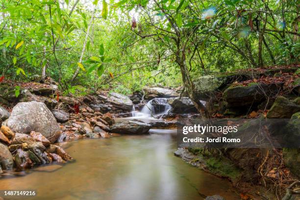 river and small fall in tranquilandia - brooke bliss stock pictures, royalty-free photos & images