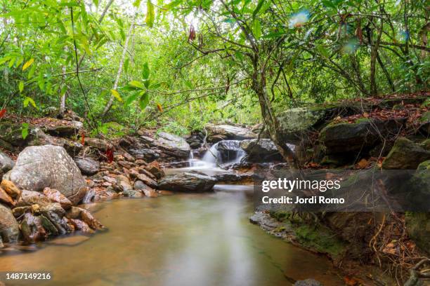 river and small fall in tranquilandia - colombia jungle stock pictures, royalty-free photos & images