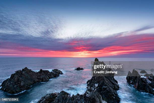 dungeon provincial park at dawn, bonavista, newfoundland and labrador, canada - newfoundland stockfoto's en -beelden