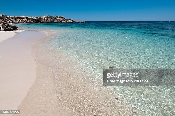 beach on rottnest island (wadjemup). - rottnest island stock pictures, royalty-free photos & images