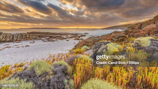 Bremer Ranges 20 Bremer Bay Western Australia Stock Photos, High-Res Pictures, and ...