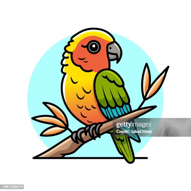 bildbanksillustrationer, clip art samt tecknat material och ikoner med cute conure parrot line art - papegoja