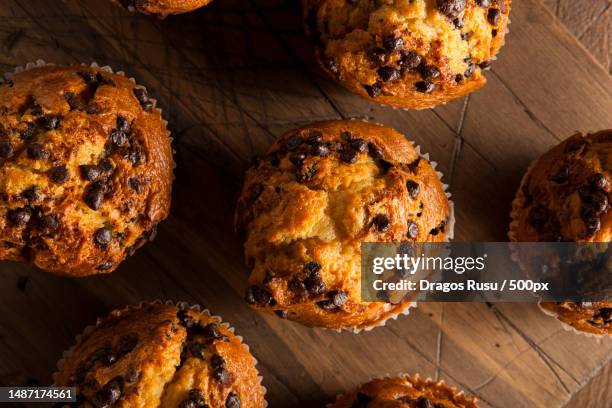 homemade chocolate chip muffins ready for breakfast,romania - muffin stock pictures, royalty-free photos & images