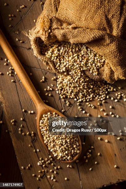 raw dry organic buckwheat in a spoon,romania - boekweit stockfoto's en -beelden