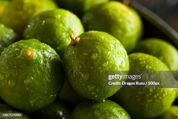 raw green organic key limes in a bowl,romania - zitruszeste stock-fotos und bilder