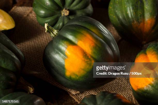 raw organic green and orange acorn squash,romania - acorn squash stock pictures, royalty-free photos & images