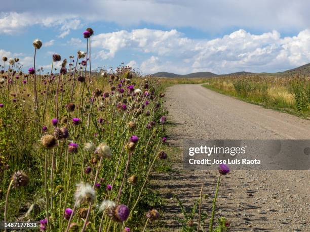 extreme roads in andes desert - argentina dirt road panorama stock pictures, royalty-free photos & images