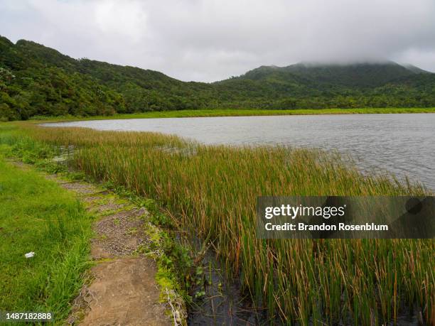 grand etang national park in the caribbean island nation of grenada - grand etang lake stock pictures, royalty-free photos & images