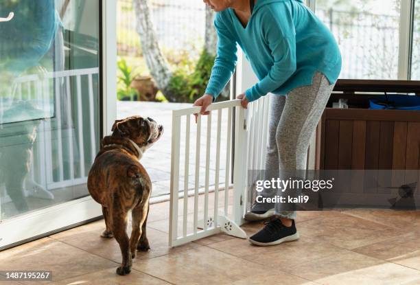 young asian woman letting dog out into back yard - baby gate stock pictures, royalty-free photos & images