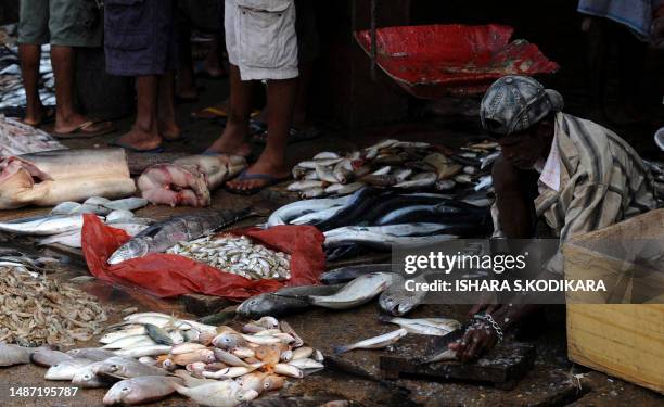 Sri Lankan fishmonger sorts fish on the island's seaport town of Trincomalee on August 19, 2010. Fishing has hit hard times in the once war-battered...