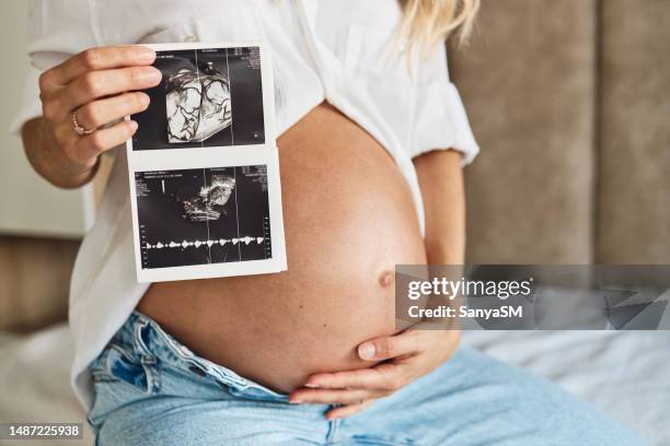 ¡mira a mis gemelos! - twin pregnancy belly fotografías e imágenes de stock