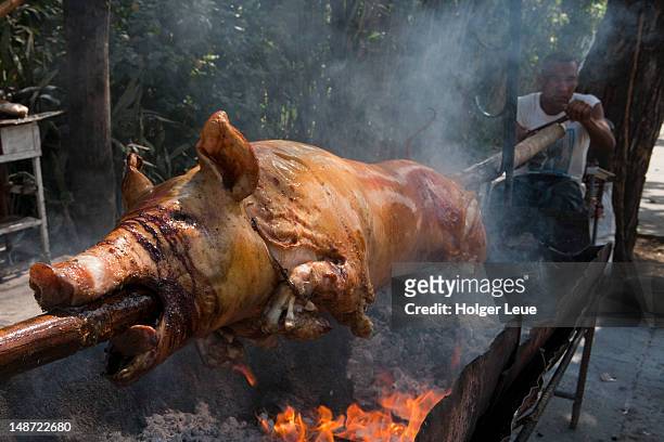 streetside roast pig. - roast pig stock pictures, royalty-free photos & images