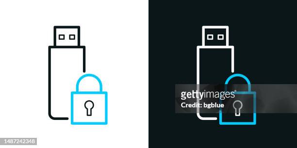 usb flash drive with padlock. bicolor line icon on black or white background - editable stroke - stick plant part stock illustrations