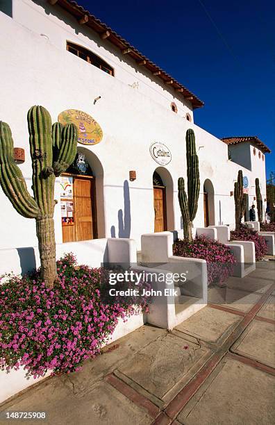 shopfront. - todos santos bildbanksfoton och bilder