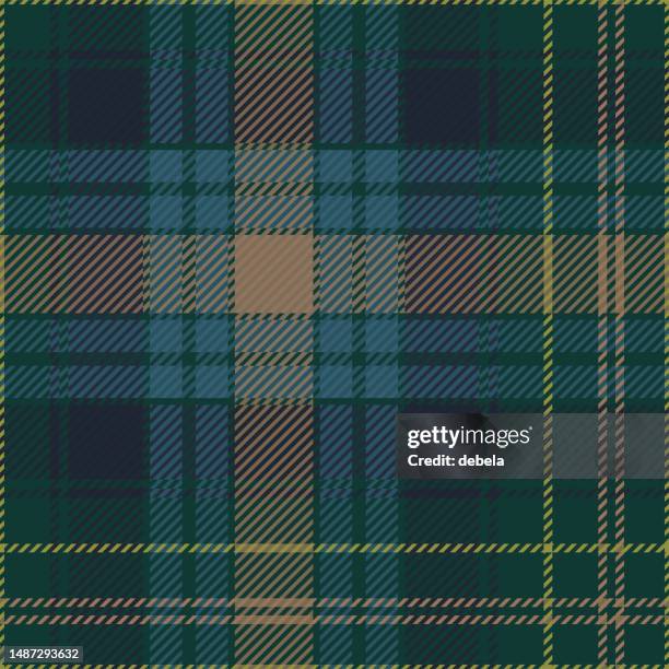 stockillustraties, clipart, cartoons en iconen met eildon scottish tartan plaid pattern fabric swatch - scottish tweed