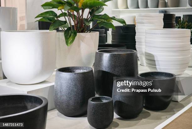 plant pot - flower pot stock pictures, royalty-free photos & images