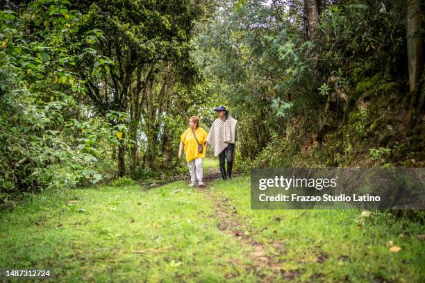 farmers talking and walking in the agricultural field - medellin colombia stock pictures, royalty-free photos & images