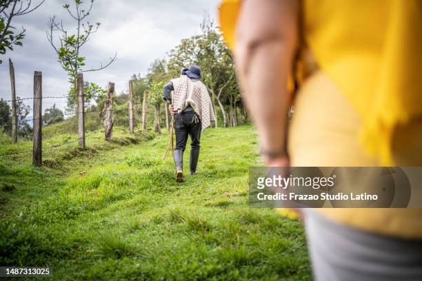 rear view of a farmer walking through agricultural field - wellington boots stock pictures, royalty-free photos & images