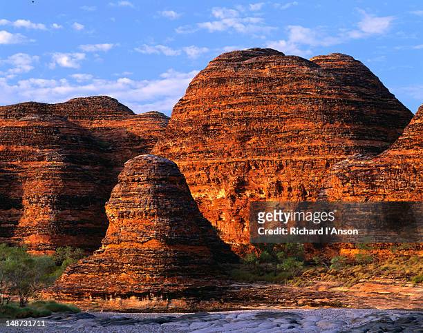 the bungle bungles; weathered domes of stratified rock. - bungle bungle range stock pictures, royalty-free photos & images