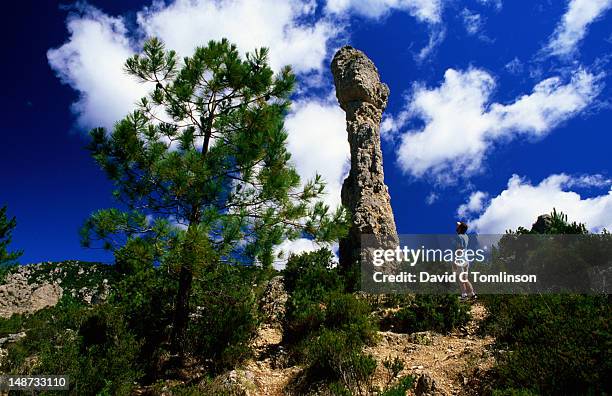 man standing next to dolomitic rock chimney in cirque de moureze, moureze. - cirque de moureze stockfoto's en -beelden