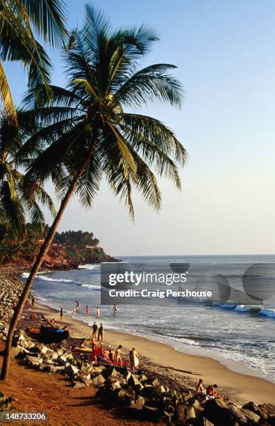people on palm tree-fringed beach. - varkala beach stock pictures, royalty-free photos & images