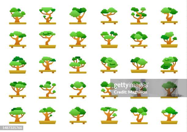 bonsai tree flat gradient icons set - bonsai tree stock illustrations