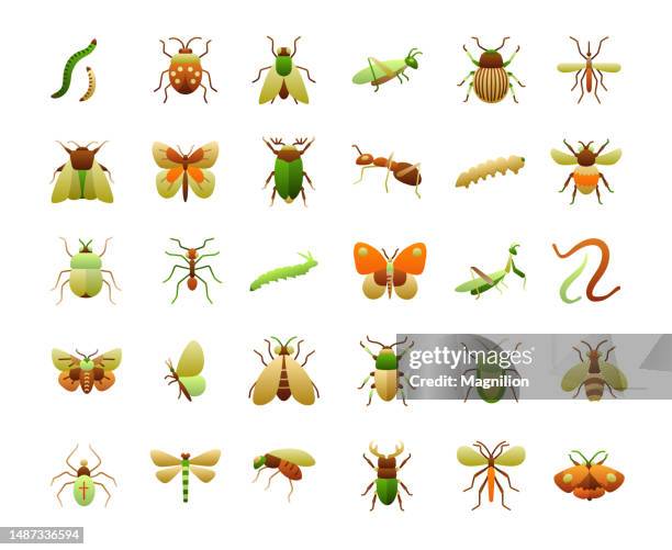 illustrazioni stock, clip art, cartoni animati e icone di tendenza di set di icone sfumate piatte degli insetti - baco