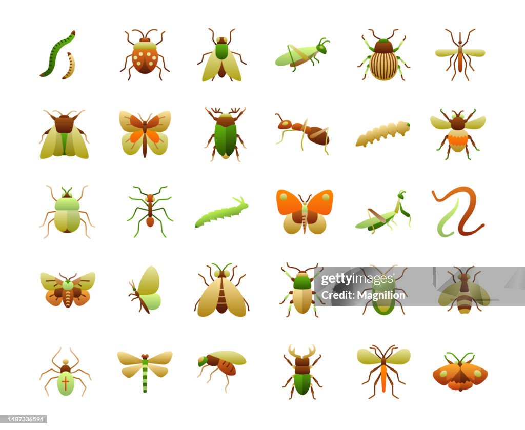Insects Flat Gradient Icons Set