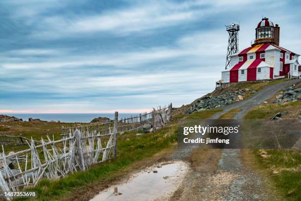 cape bonavista lighthouse at dawn, bonavista, canada - bonavista bay stock pictures, royalty-free photos & images