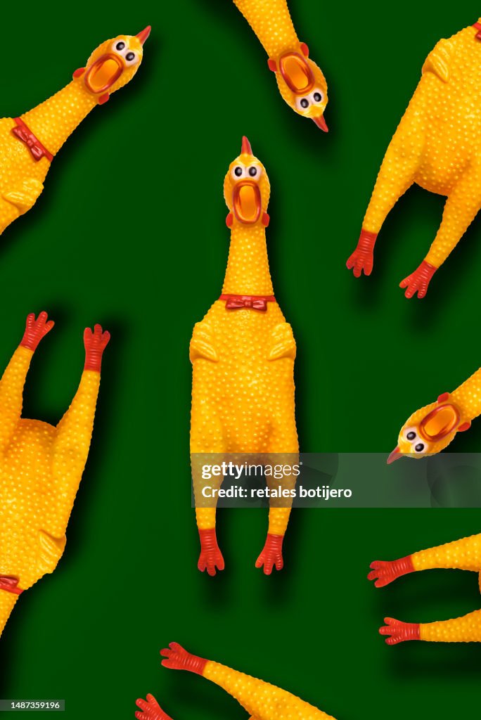 Funny rubber chickens