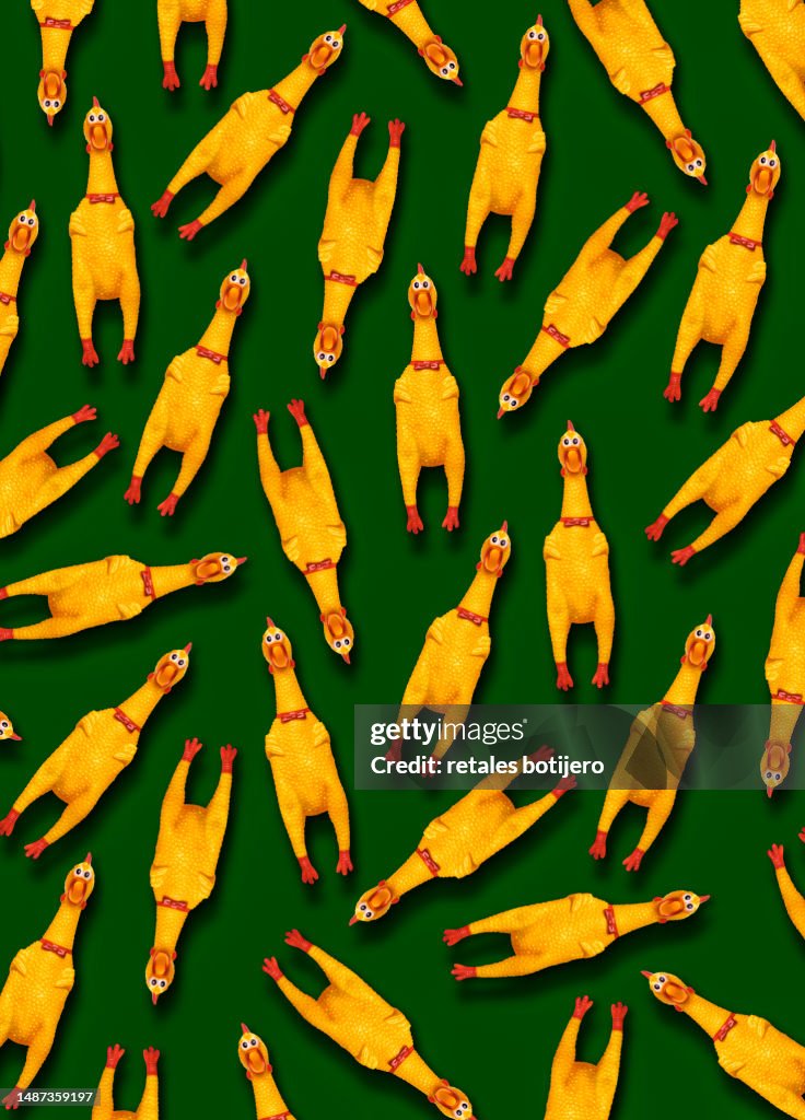 Funny rubber chickens