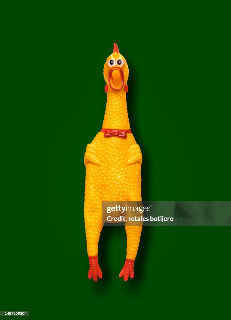 Funny rubber chickens