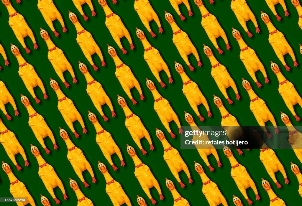 Funny rubber chickens