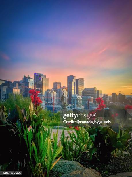 Calgary Fall Sunset 376 Calgary Skyline Sunset Stock Photos, High-Res Pictures, and Images ...