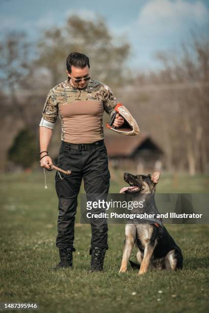 training of german shepherd dog - dierentemmer stockfoto's en -beelden