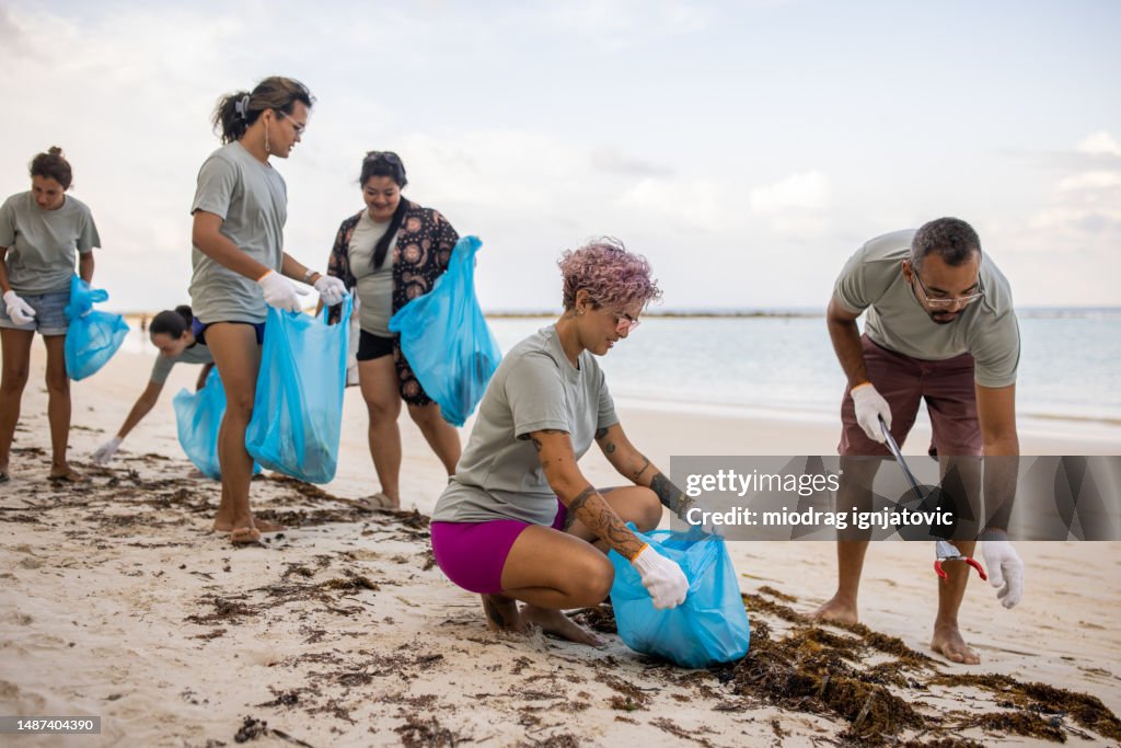 Beach Cleaning Program Activists Cleaning The Beach High-Res Stock Photo - Getty Images