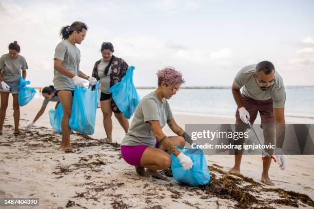 activists cleaning the beach - limpeza ambiental imagens e fotografias de stock