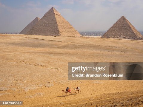 Camels at the Giza pyramid complex in Giza, Egypt