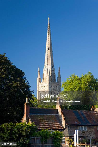 cathedral spire towering above traditional cottages. - norwich england stockfoto's en -beelden