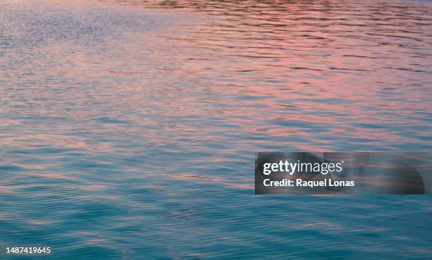 close-up of tropical water at sunset or sunrise with reflected light - south pacific ocean bildbanksfoton och bilder