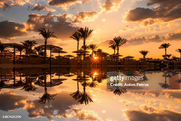 sunset on a sandy beach with parasols and sun loungers. red sea, egypt - sinai egypt stock pictures, royalty-free photos & images