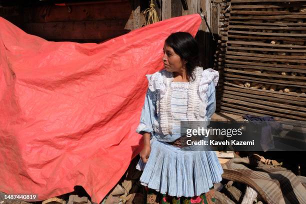 Daily life of Mazahuas indigenous people living in a small town by a lake on January 1, 2023 in San Simon de la Laguna, Mexico.
